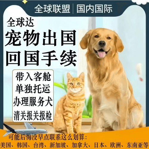 安康市宠物托运到柬埔寨宠物入境规定和要求