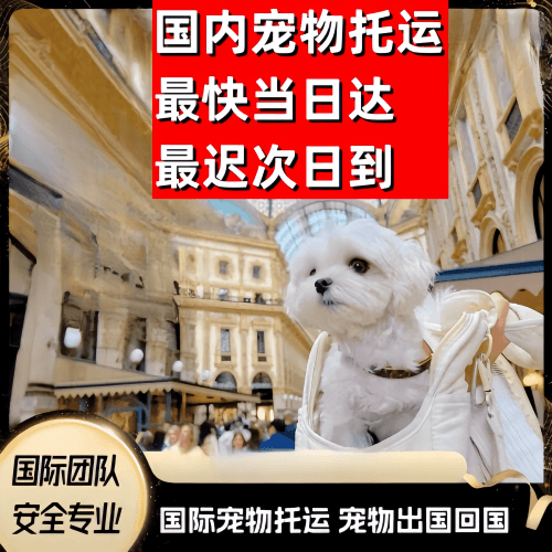 安康市到澳大利亚（澳洲）宠物入境规定和要求