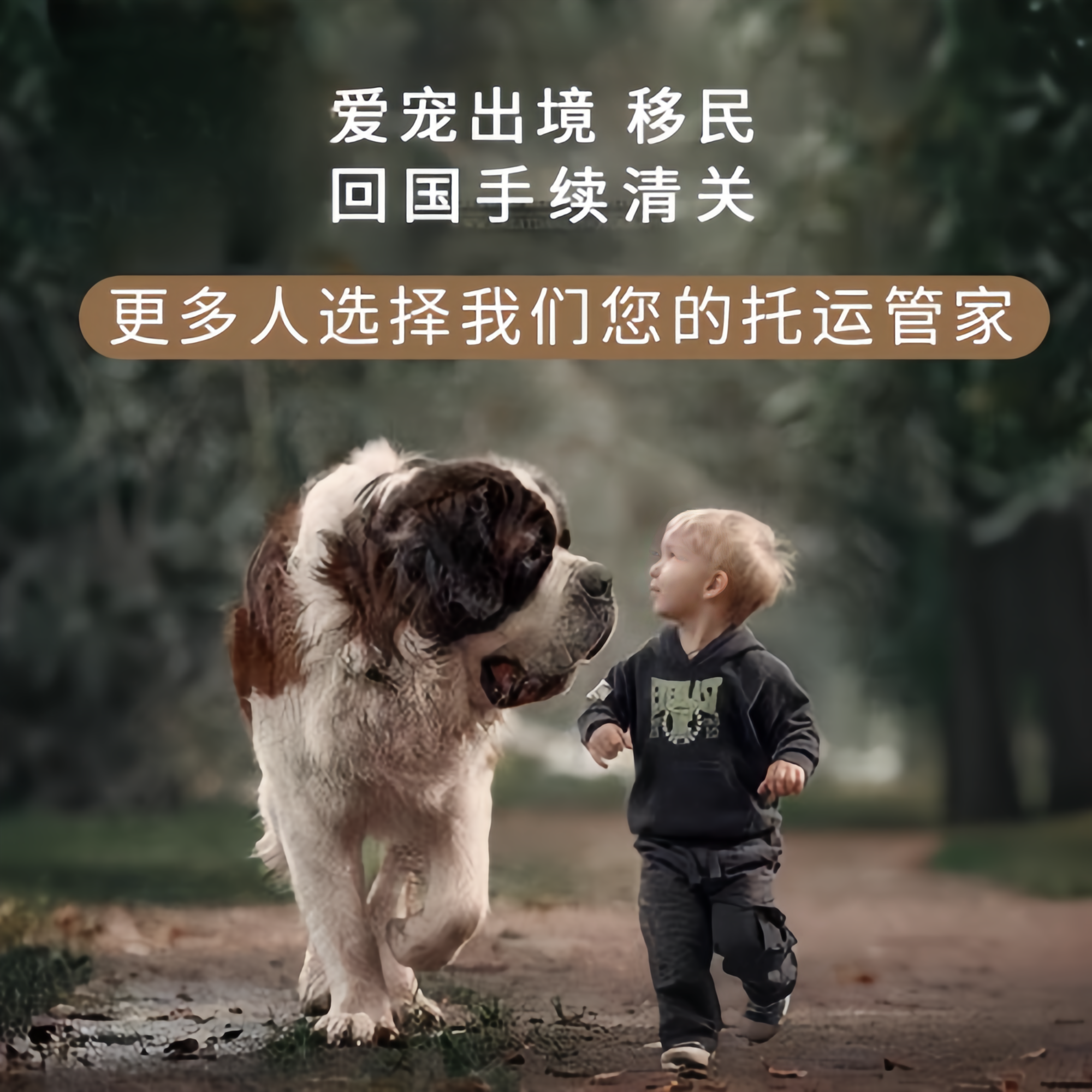 满财安康市宠物全球达宠物托运在遵守入境目的地政策的条件