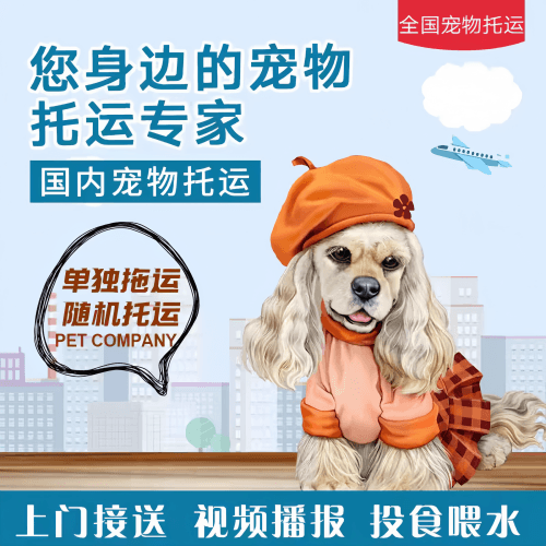 满财安康市宠物全球达宠物托运作为专业的宠物运输代理机构